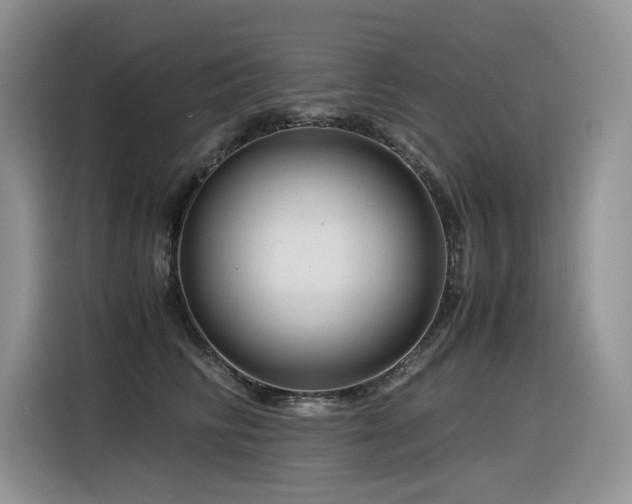 X0000116370710200912021153