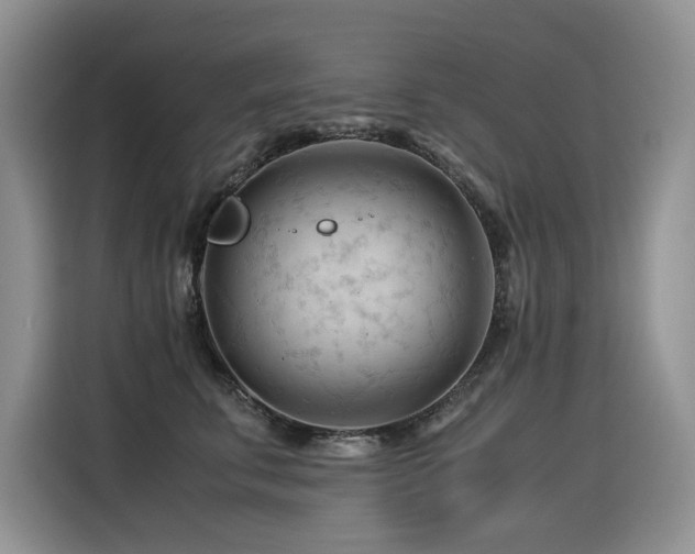 X0000116370711200912021153