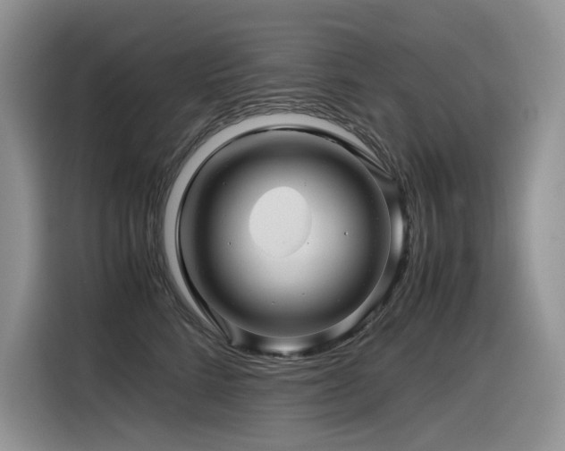 X0000116370712200912021153