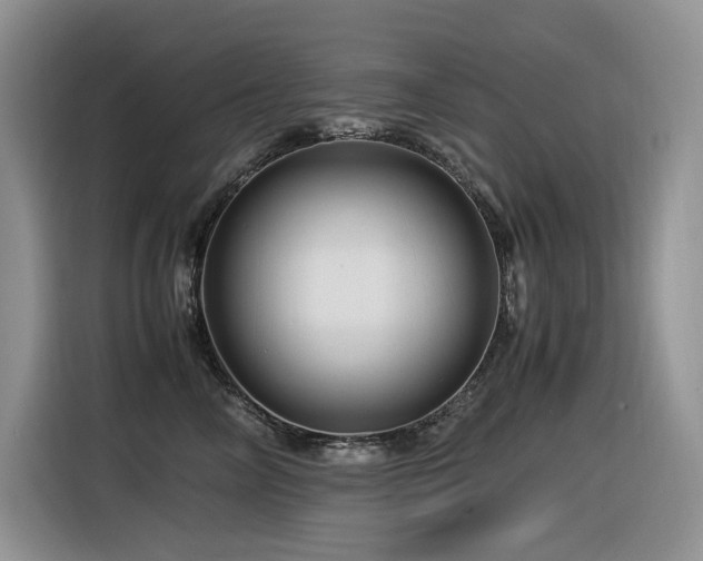 X0000116370714200912021153