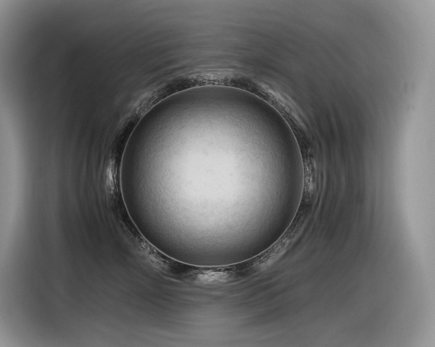 X0000116370718200912021153