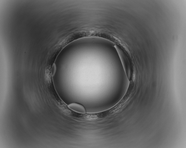 X0000116370719200912021153