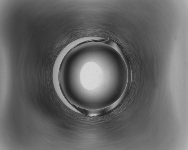 X0000116370720200912021153
