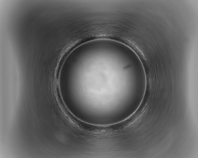 X0000116370721200912021153