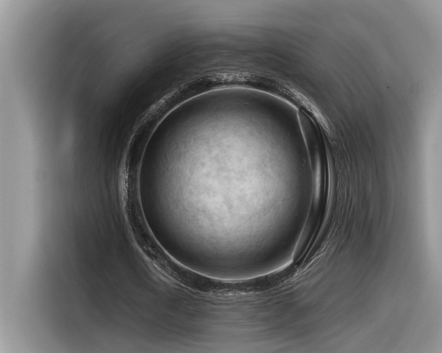 X0000116370722200912021153