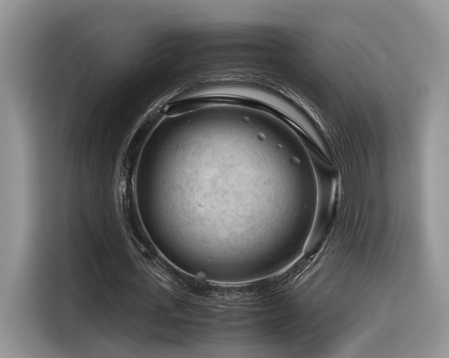X0000116370723200912021153