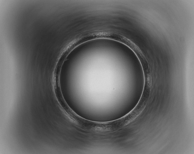 X0000116370725200912021153