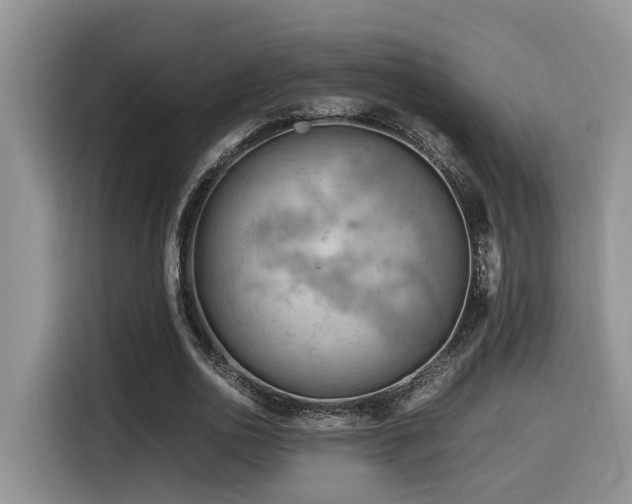 X0000116370726200912021153