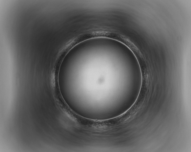 X0000116370729200912021153