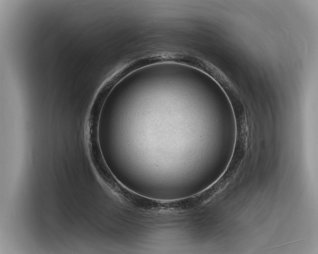 X0000116370730200912021153