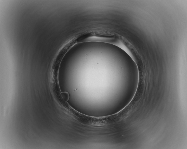X0000116370731200912021153