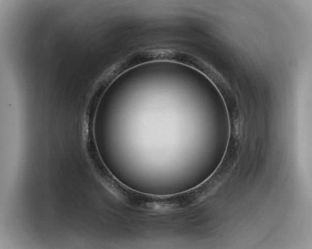 X0000116370733200912021153
