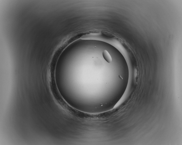 X0000116370734200912021153