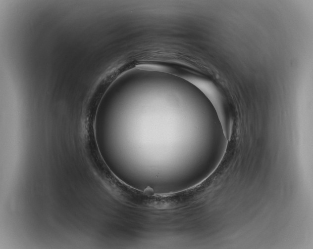 X0000116370735200912021153