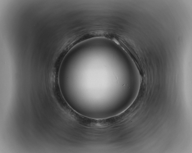 X0000116370739200912021153