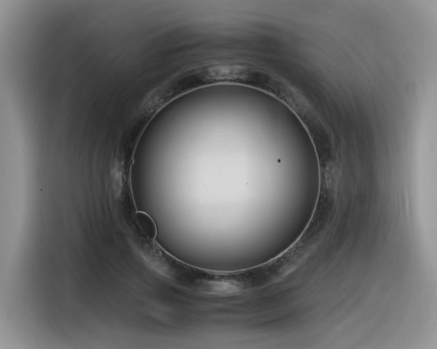X0000116370741200912021153