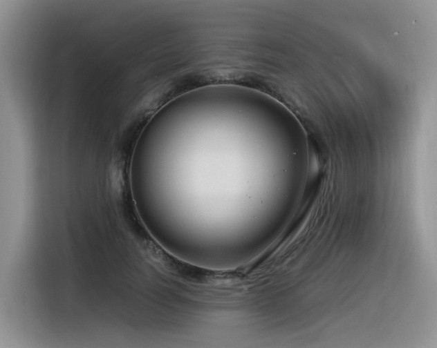 X0000116370746200912021153