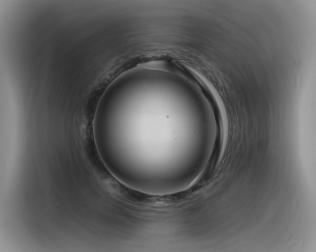 X0000116370750200912021153