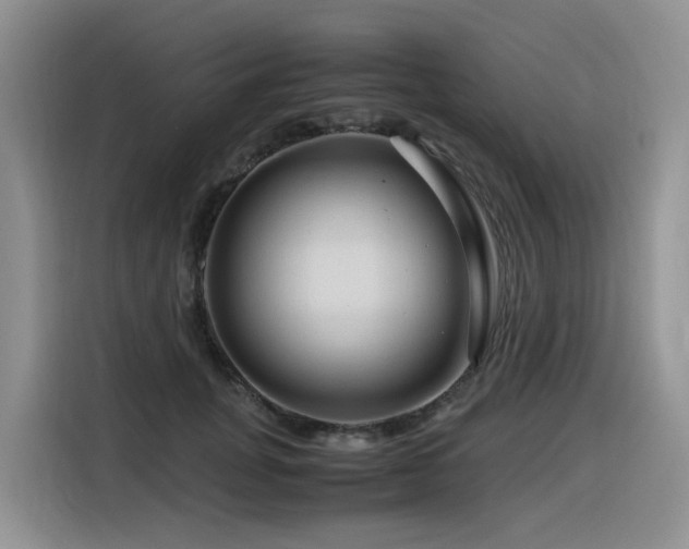 X0000116370751200912021153