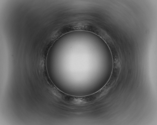 X0000116370753200912021153