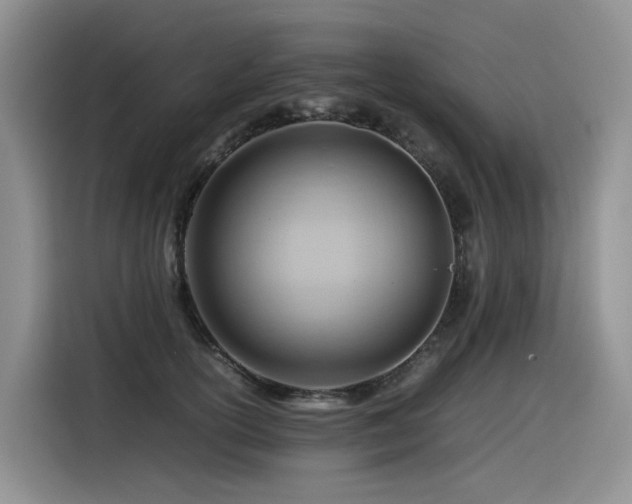 X0000116370754200912021153