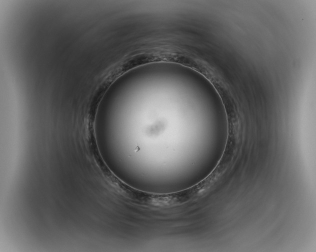 X0000116370757200912021153
