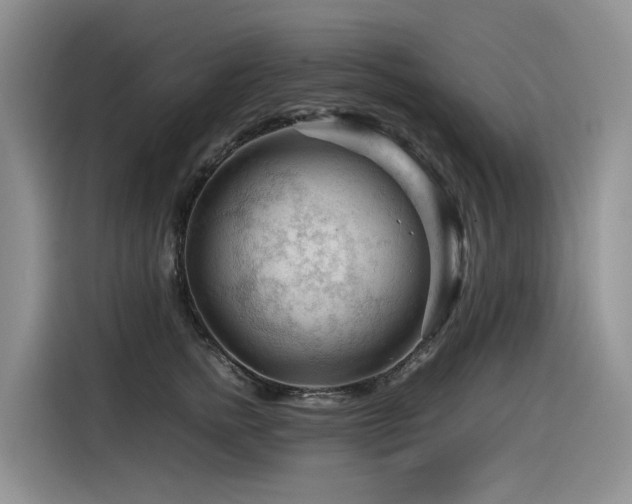 X0000116370758200912021153