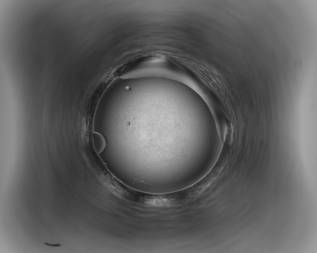 X0000116370759200912021153