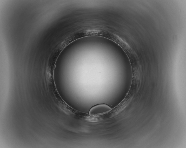 X0000116370761200912021153