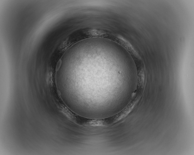 X0000116370762200912021153