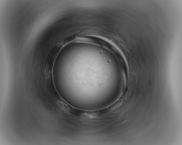 X0000116370763200912021153