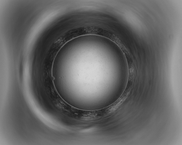 X0000116370765200912021153