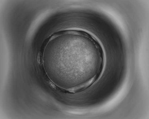 X0000116370766200912021153