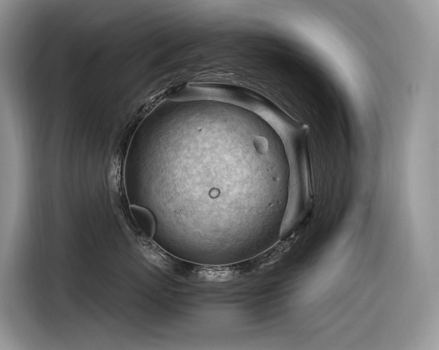 X0000116370767200912021153