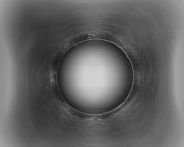 X0000116370770200912021153