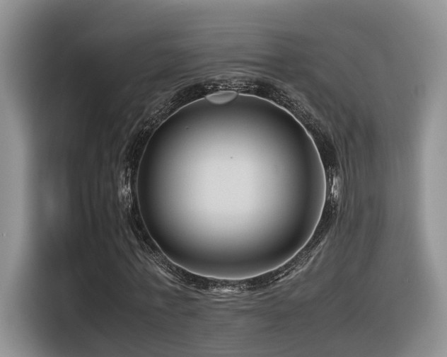 X0000116370771200912021153