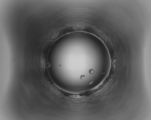 X0000116370772200912021153