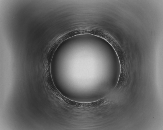 X0000116370773200912021153