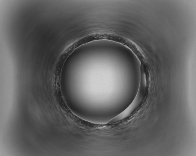 X0000116370775200912021153