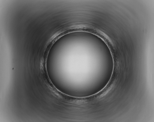 X0000116370778200912021152