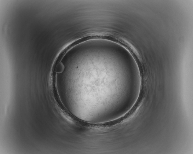 X0000116370779200912021152