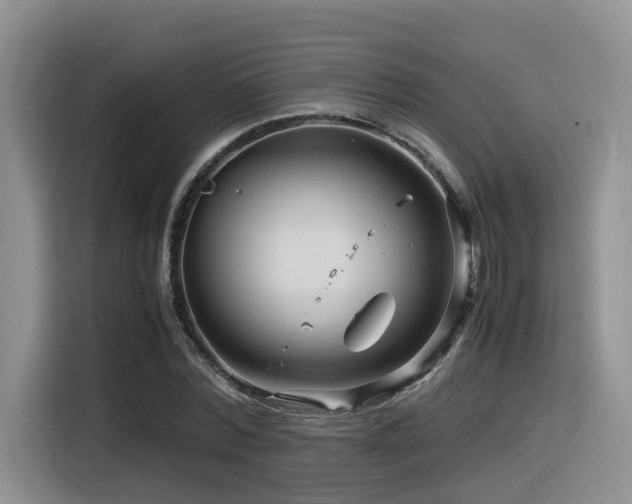 X0000116370780200912021152
