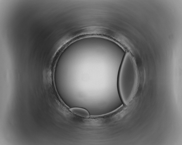 X0000116370781200912021152