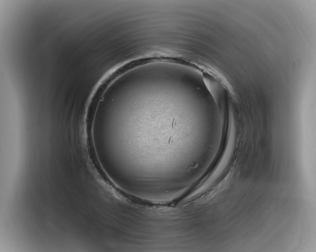 X0000116370784200912021152