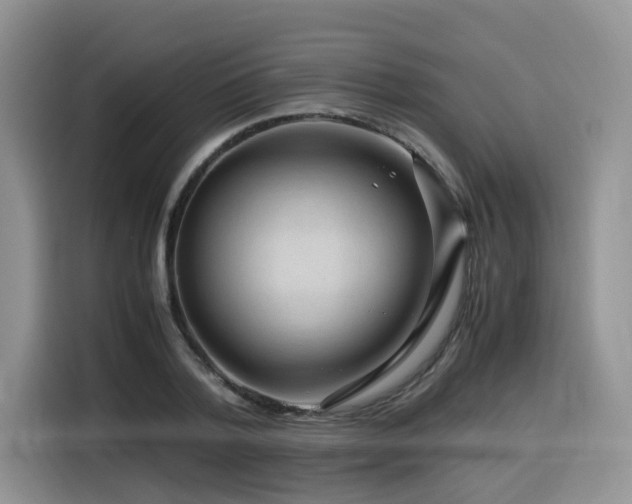 X0000116370788200912021152