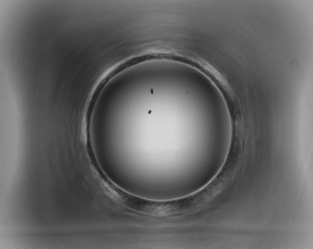 X0000116370791200912021152