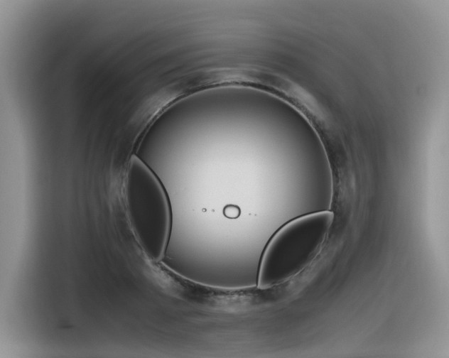 X0000116370793200912021152