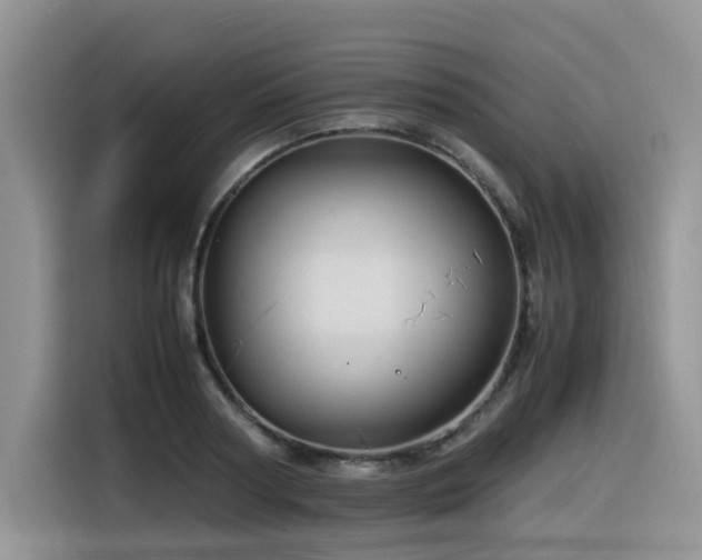 X0000116370794200912021152