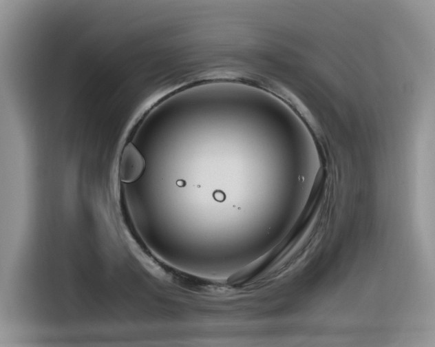 X0000116370795200912021152