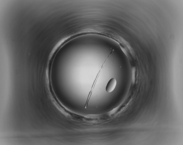 X0000116370796200912021152